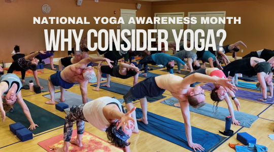 Read more about the article National Yoga Awareness Month—Why Consider Yoga?